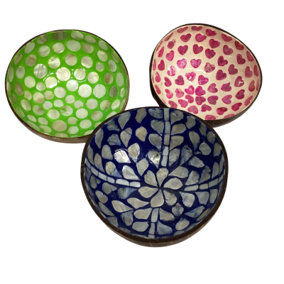 3 Beautiful Coconut Shell Bowls 