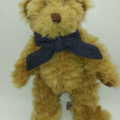 Rich Plush Teddy Bear