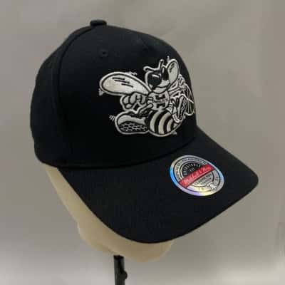  Mens Mitchell & Ness Charlotte Hornets Hardwood Classics Black Cap with Hornet Embroidered Logo - Size (Adjustable Snapback)