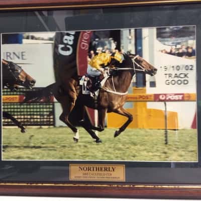 Northerly 2002 Caulfield Cup