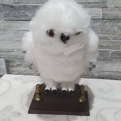 Harry Potter Hedwig Owl Interactive Toy