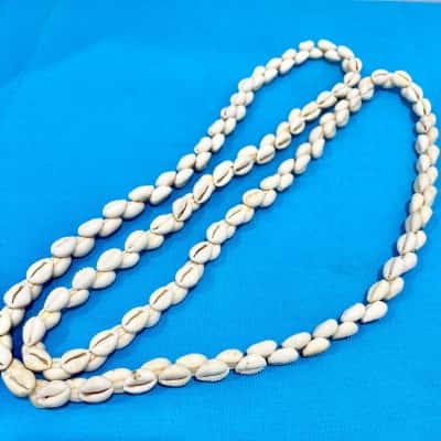 Vintage Shell Necklace 