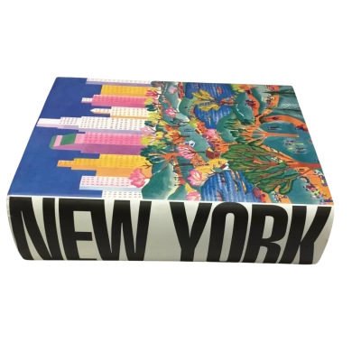 ‘New York’ 2005 Hardcover Book With Slipcover By Tama Janowitz - 1st Edition