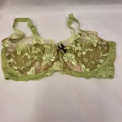 Honey Birdette size 16 E Lime Green Flesh Coloured Mesh Iridescent and Embroidered Bra