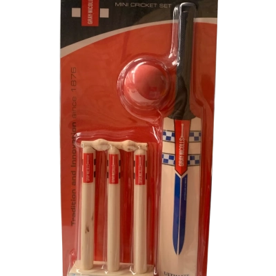 Mini Cricket Set