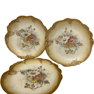 3 X Antique Royal Bonn plates 