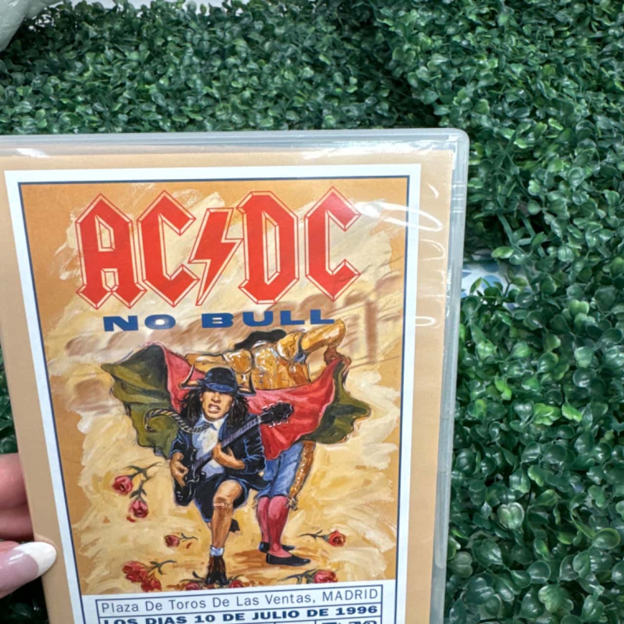 AC/DC No bull (s)