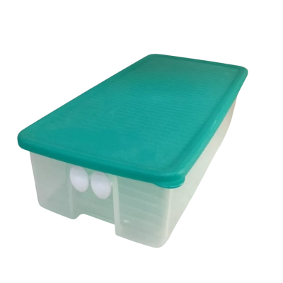Vintage Tupperware Fridge Mate Rectangle 
