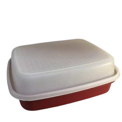 Vintage Tupperware Meat Keeper / Marinater Large
