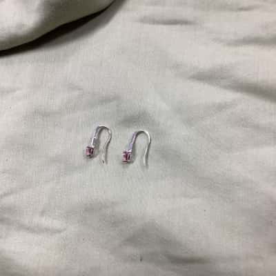  Womens Earrings (jb) 925 year shaped hooks