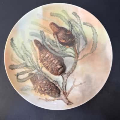 French Majolica asparagus plate, featuring hand-painted by M Walker 1983, botanical designs of what appears to be Banksia seed pods( B15)