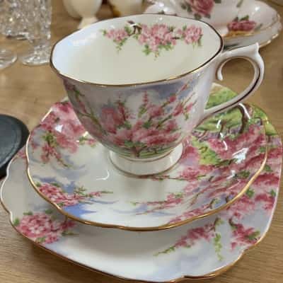 Royal Albert Blossom times Cup saucer and side plate