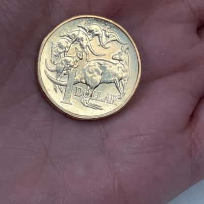 2026 ‘Mob Of Six Kangaroos’ $1 Coin