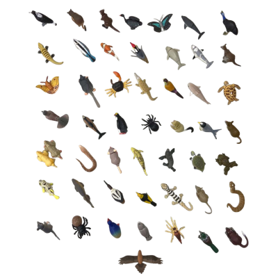 Collectable - Complete Yowies Series 2 (Total Set of 50) with Papers - Plus 1 x Color Variation of (Marsupial Mole)