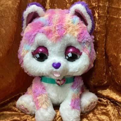V Tech - Hope the Rainbow Husky