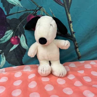 Peanuts Snoopy Plush 