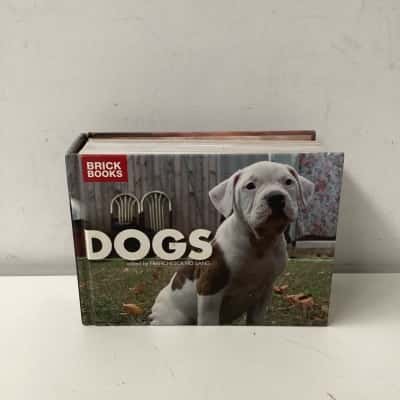 Dogs by Francesca Ho Sang 