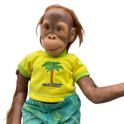 Collectable Simon Lauren’s Boy Monkey In T-shirt and Shorts.  Office 