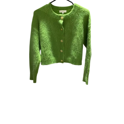 Diana Vevina  (Monaco)  Womens  Size M Button-down Cardigan Green Mohair / Wool Mix NWOT