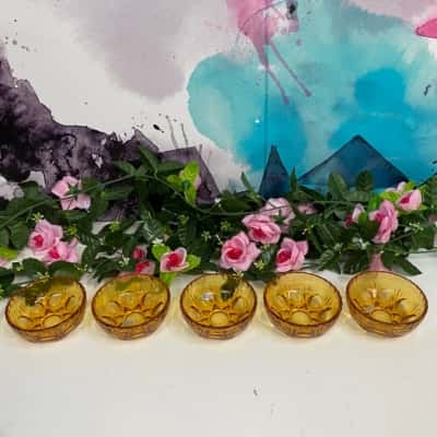 Made in Japan gorgeous glass set of 5 amber colour serving dishes 