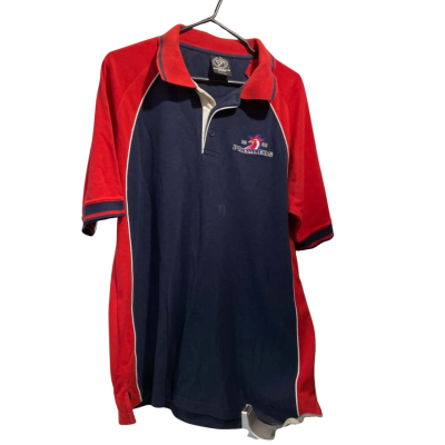 Vintage 2002 Premiers Sydney Roosters Polo Shirt