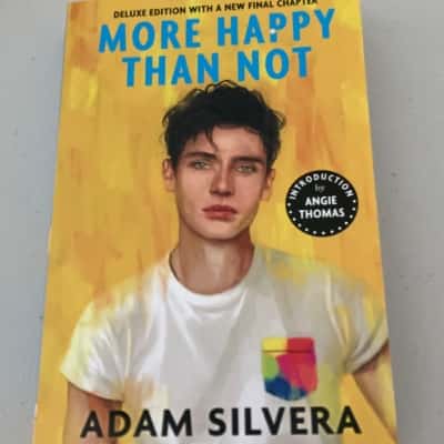 More happy than not- Adam Silvera