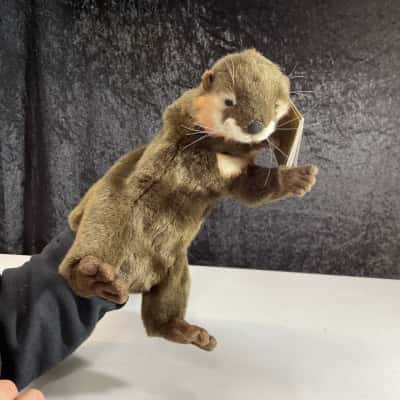 HANSA Otter Puppet 28cm