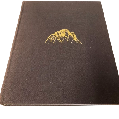 Mountains Book by Mervyn James