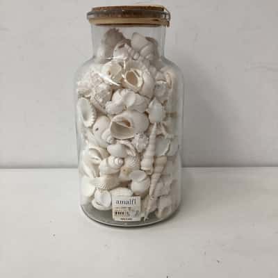  AMALFI Jar of assorted shells 