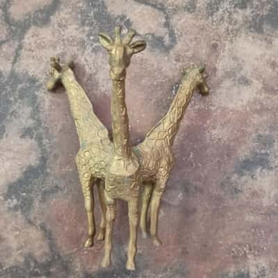 Brass Trio Giraffes