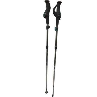 Black Diamond Walking Poles
