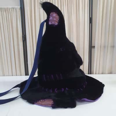 Harry Potter Sorting Hat Plush Bag