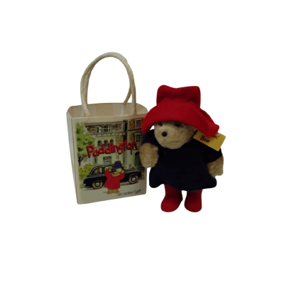 Paddington Bear In Carry Bag