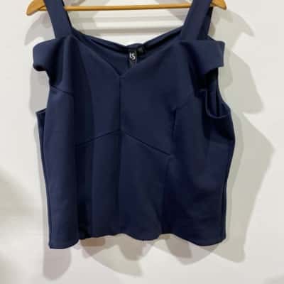 Taking Shape Bella Bodice Top Opulent Empress  Twilight Womens  Size 20 Blue RRP $149.95
