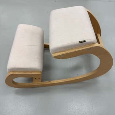 Vevor Ergonomics Chair 