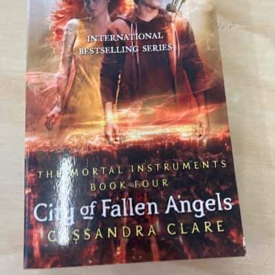 City of fallen angels