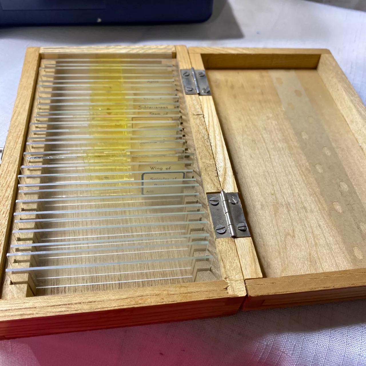 Image Tester