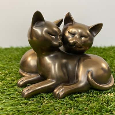 Veronese cats