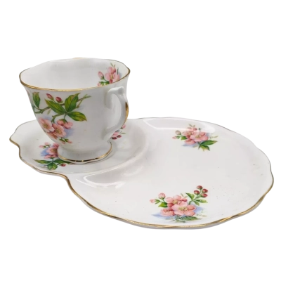 Vintage Royal Albert 'Evesham' Teacup Tennis/Snack Set - Pink Apple Blossoms Pattern Cup Cup & Snack Plate  (brica shelf)