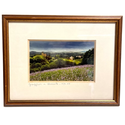 Andrea Rontini Limited Edition Cibachrome Photograph “Giaggiolo a Quarate” Framed