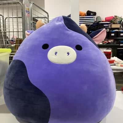 Plush Toy