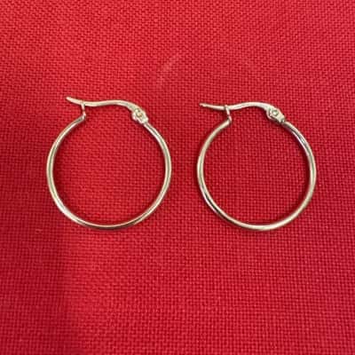  Women's 316 L (Stainless Steel) Hoop Earrings 