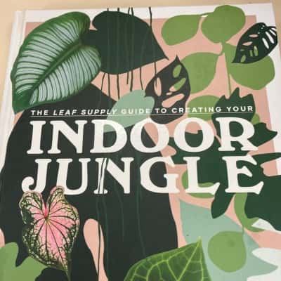 The leaf supply guide to creating you indoor jungle