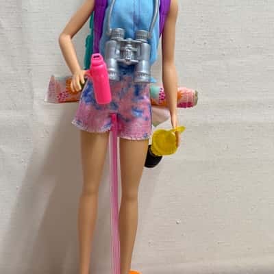 Barbie Malibu camping doll