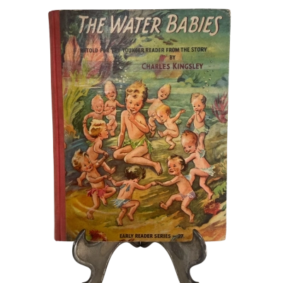 The water babies, early reader series number 27