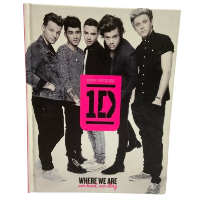 One Direction - Where We Are - Our Band, Our Story 