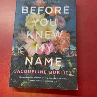 Before you knew my name, Jacqueline Bublitz 