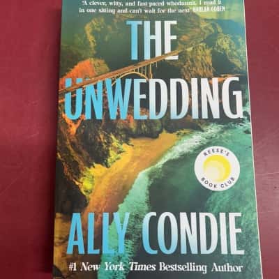The Unwedding, Ally Condie 