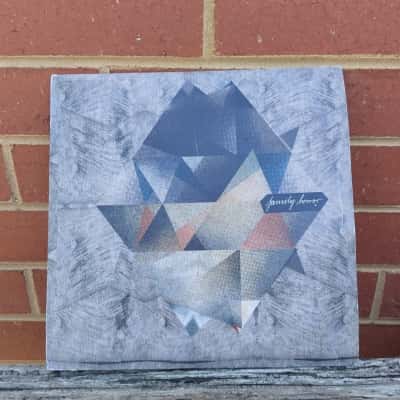 FAMILY HORROR from KANN Records, LP