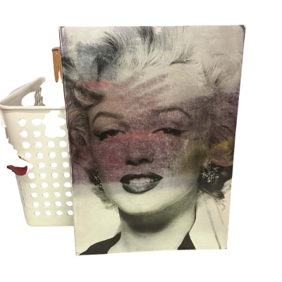 Marylin Monroe and the camera